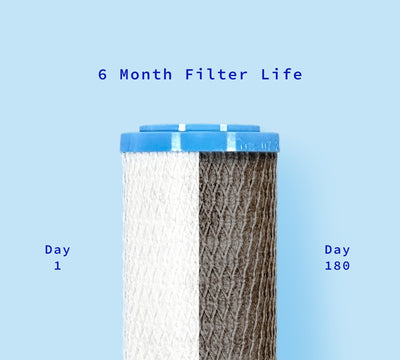 Diagram comparing a new Hydroviv filter to a dirty one after 6 months. 